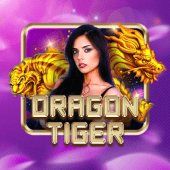 Dragon Tiger jiliok apps live casino